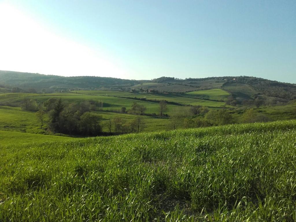 Da Remo Magliano in Toscana
