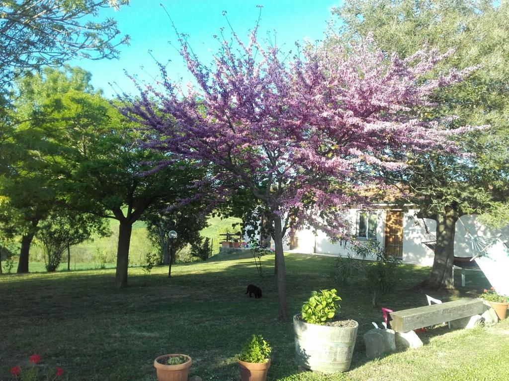 Da Remo Magliano in Toscana
