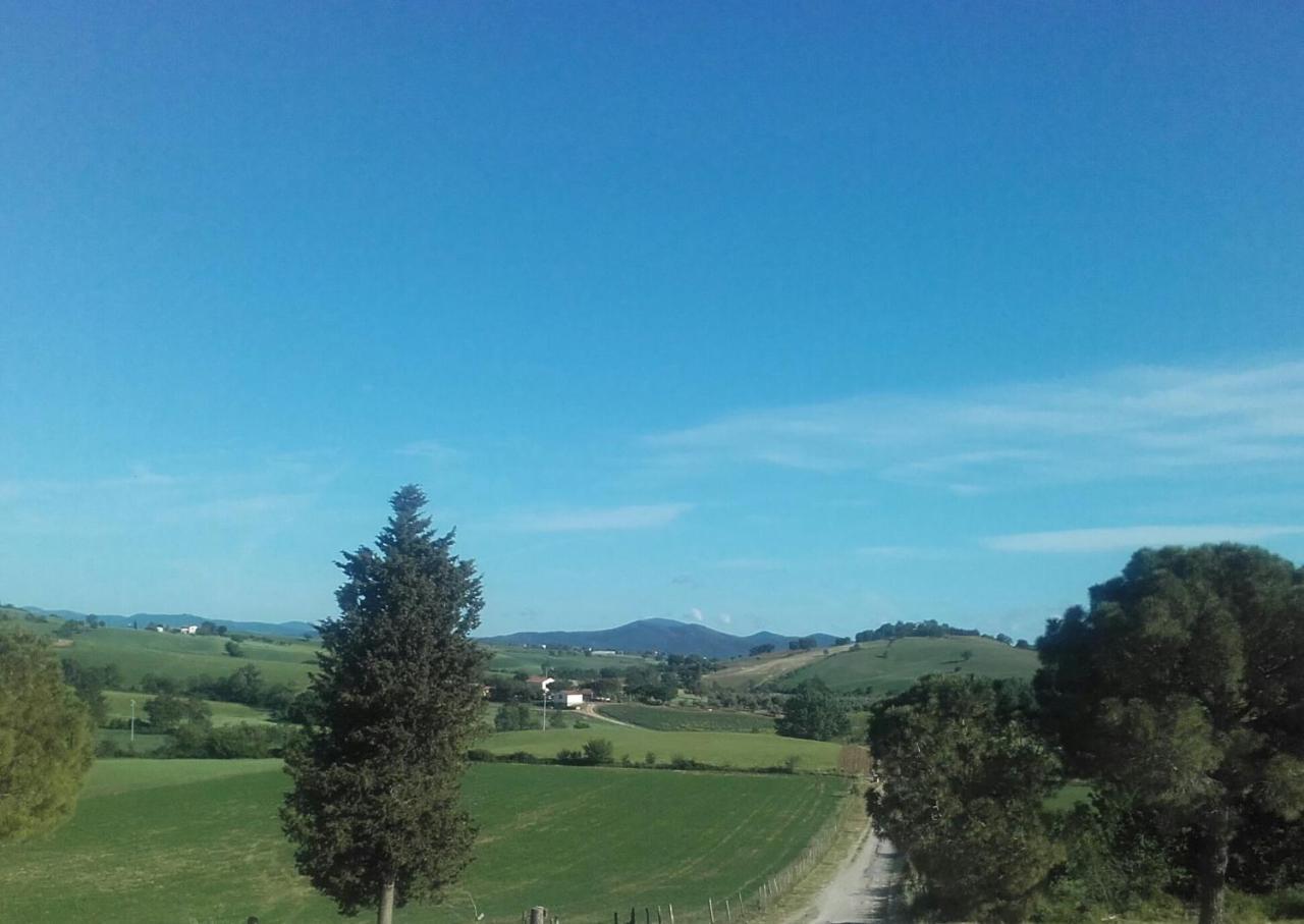 Da Remo Vakantieboerderij Magliano in Toscana